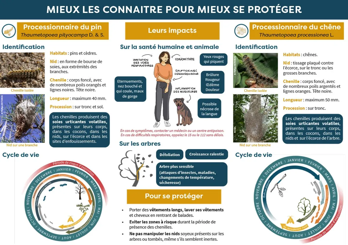 Fiche_technique_4